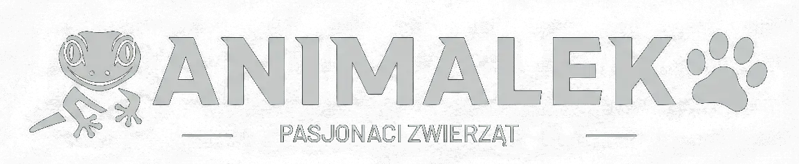 Animalek – Akwarystyka Terrarystyka | Żółwie Gekony Ryby